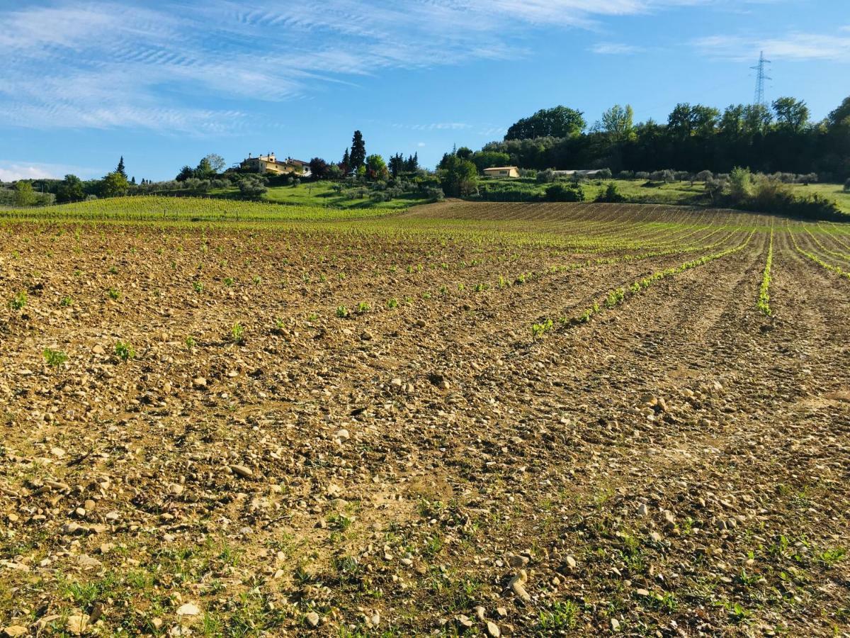 Вілла Agriturismo La Valle A Polvereto Tavarnelle Val di Pesa Екстер'єр фото