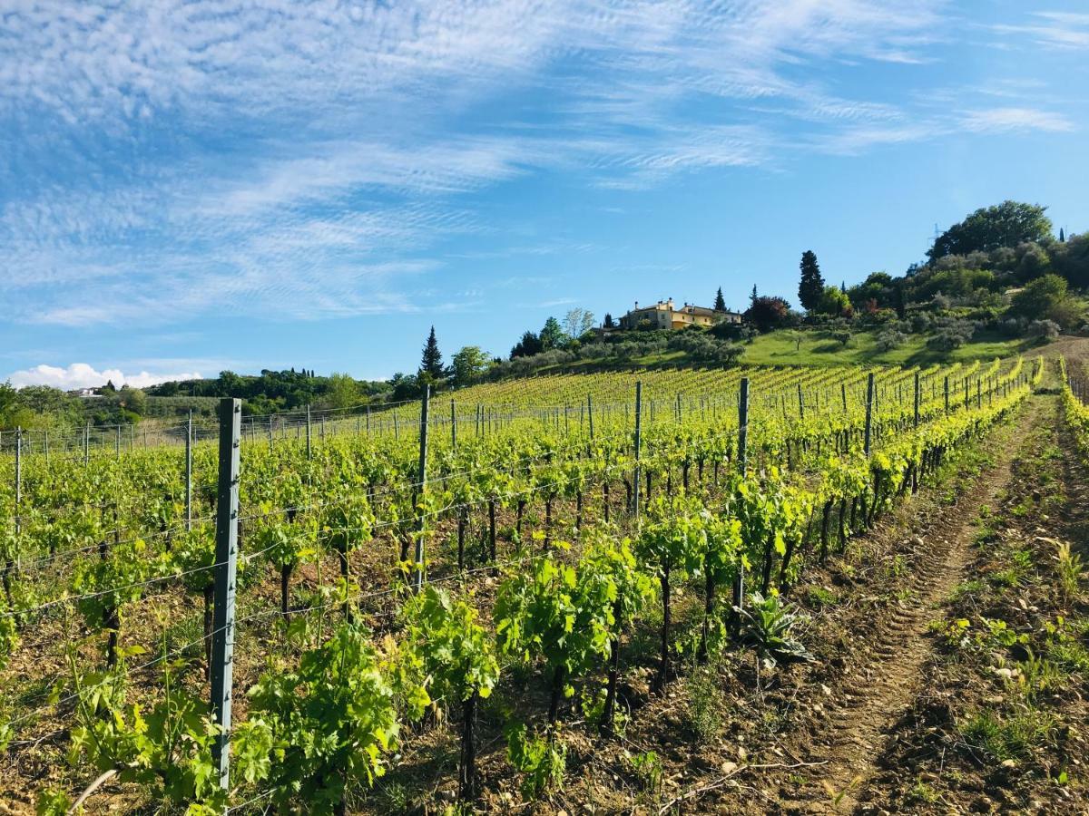 Вілла Agriturismo La Valle A Polvereto Tavarnelle Val di Pesa Екстер'єр фото